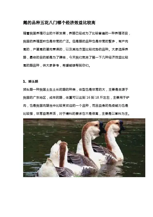 鹅的品种五花八门哪个经济效益比较高