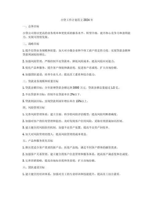 小贷工作计划范文2024年