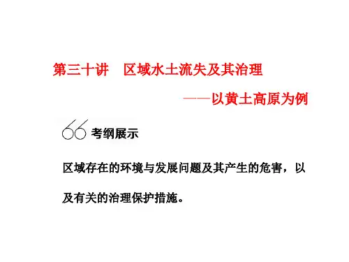 第三十讲区域水土流失及其治理65页PPT文档