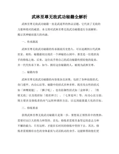 武林至尊无敌武功秘籍全解析