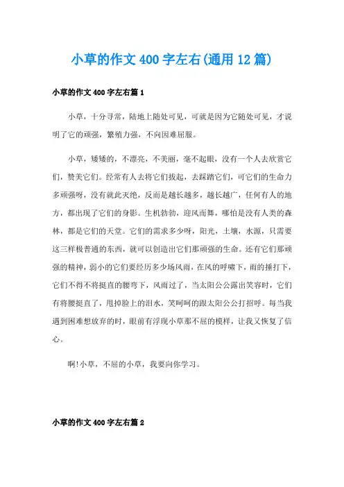 小草的作文400字左右(通用12篇)