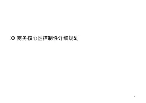 XX商务核心区控制性详细规划文本