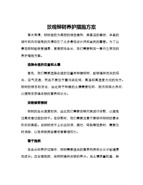景观柳树养护措施方案