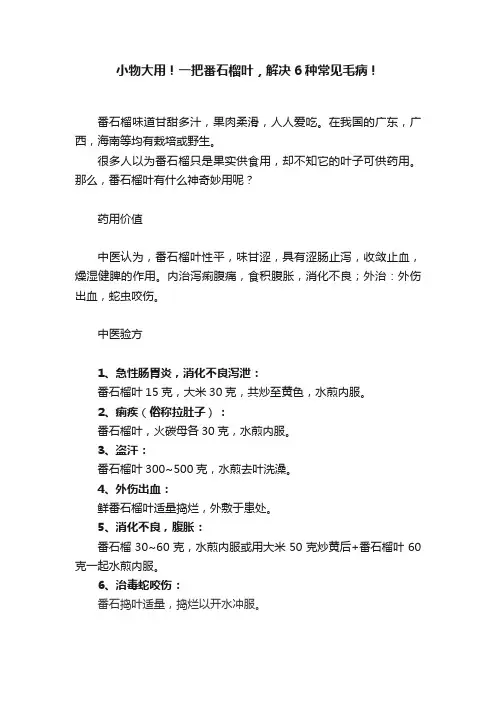 小物大用！一把番石榴叶，解决6种常见毛病！