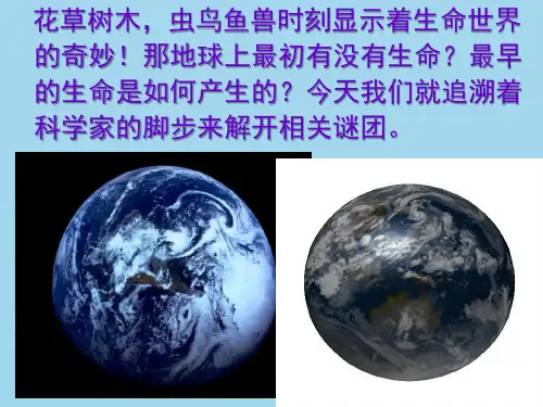 1生命的诞生课件(苏教版)