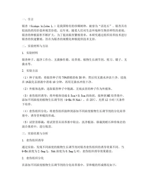 银杏组培快繁实训报告