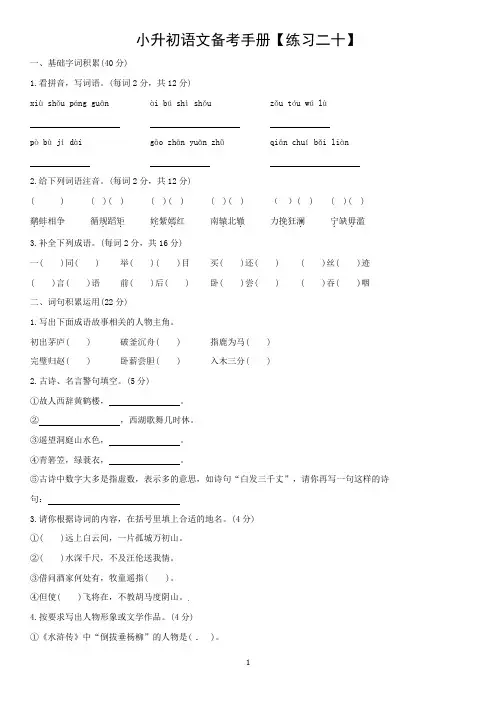 全国卷2019-2020年六年级下小升初语文试卷(含答案)
