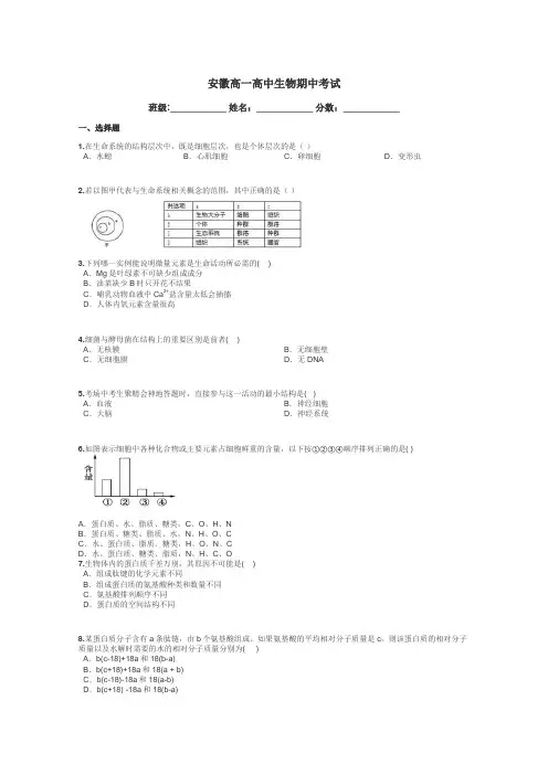 安徽高一高中生物期中考试带答案解析
