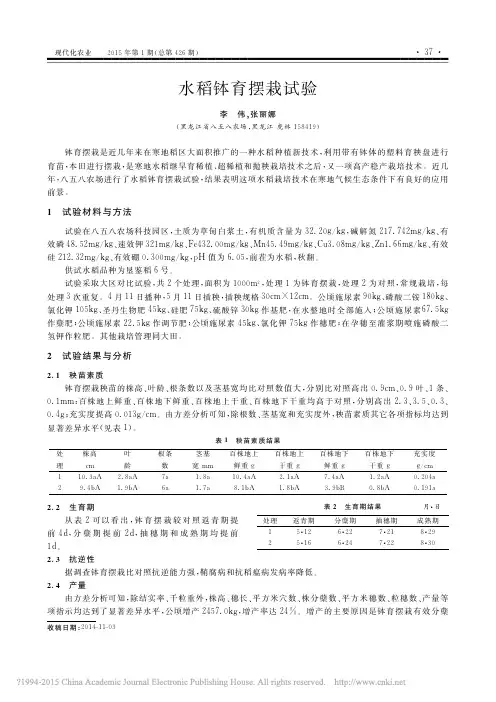 水稻钵育摆栽试验