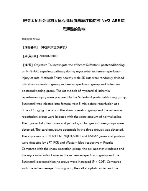 舒芬太尼后处理对大鼠心肌缺血再灌注损伤时Nrf2-ARE信号通路的影响