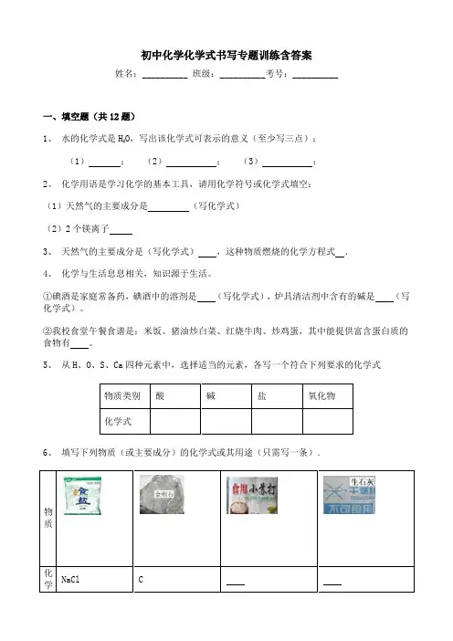 初中化学化学式书写专题训练含答案