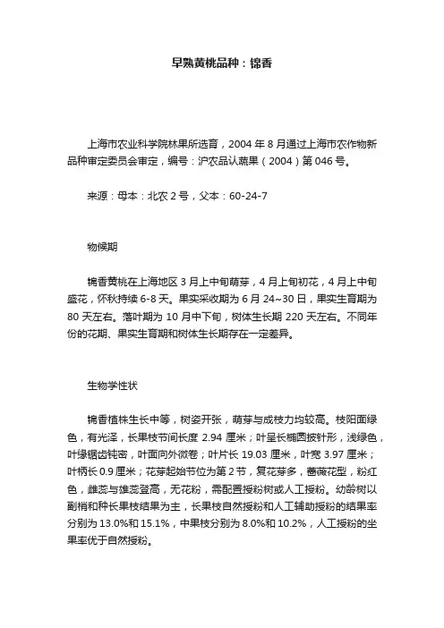 早熟黄桃品种：锦香