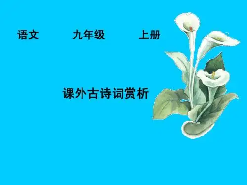 九上《课外古诗词》后五首