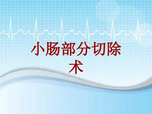 手术讲解模板：小肠部分切除术