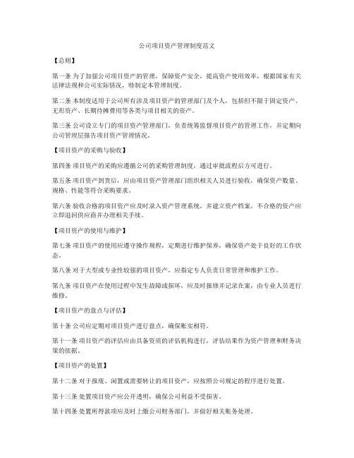 公司项目资产管理制度范文