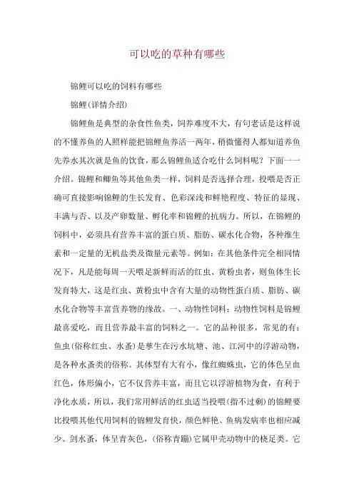 可以吃的草种有哪些