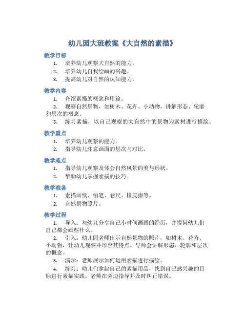 幼儿园大班教案《大自然的素描》含反思