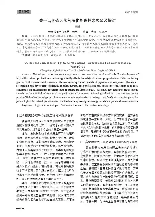 关于高含硫天然气净化处理技术展望及探讨