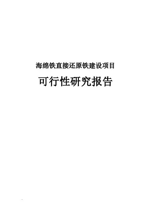 海绵铁直接还原铁可行性研究报告