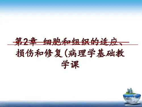 最新第2章 细胞和组织的适应、损伤和修复(病理学基础教学课讲学课件