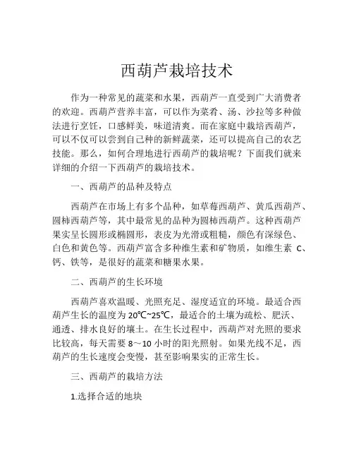 西葫芦栽培技术