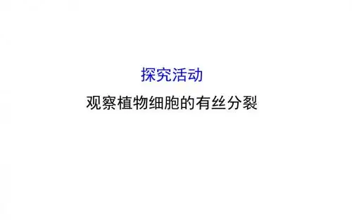 高考(中图版)生物大一轮复习(课件+滚动练习+单元检测)