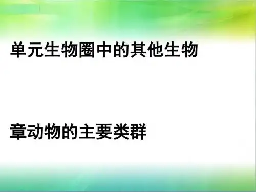 八年级生物上册ppt(22份打包) 4