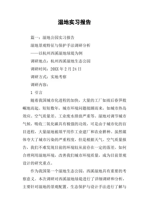 湿地实习报告