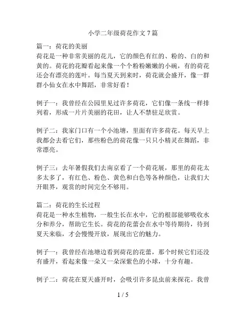 小学二年级荷花作文7篇