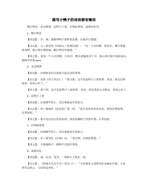 描写小鸭子的词语都有哪些