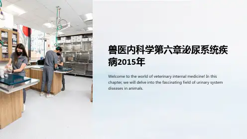 兽医内科学第六章泌尿系统疾病2015年