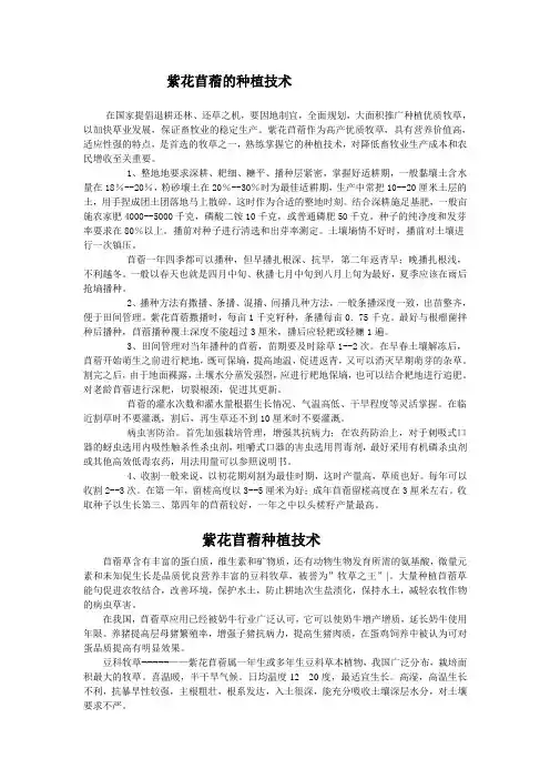 紫花苜蓿的种植技术