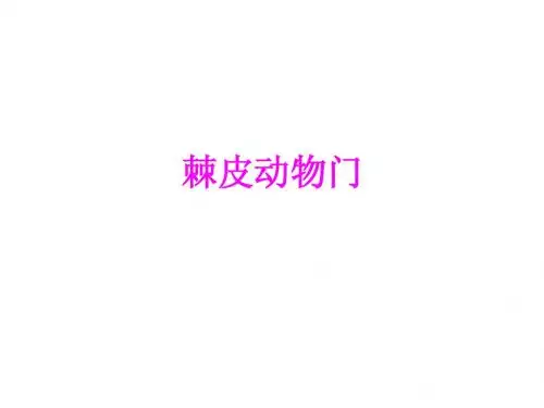 棘皮动物门