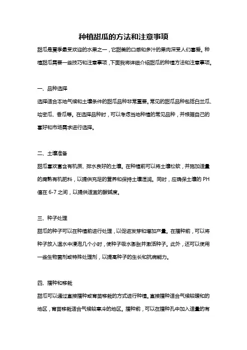 种植甜瓜的方法和注意事项