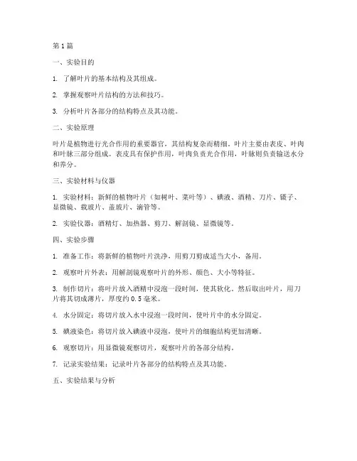 叶子结构演示实验报告(3篇)