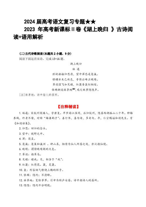 2024届高考语文复习专题★★语文-2023年高考新课标Ⅱ卷《湖上晚归 》(含解析)