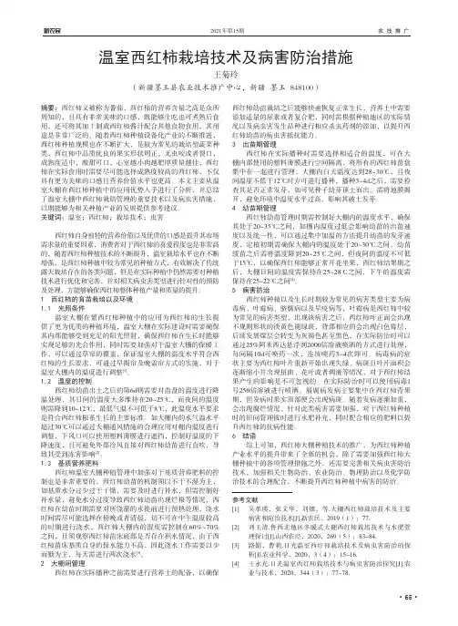 温室西红柿栽培技术及病害防治措施