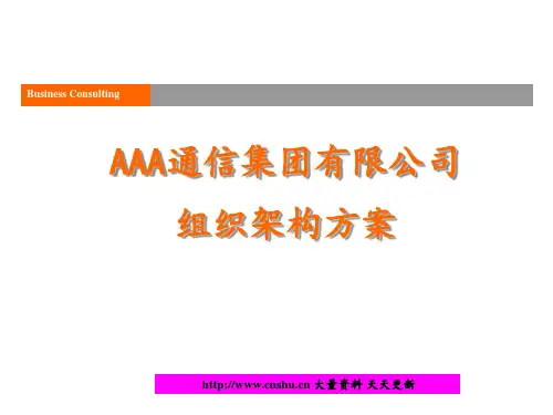 某通精品信集团组织架构方案(ppt 30页)