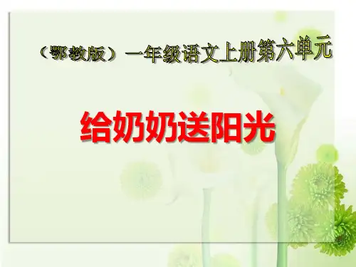 《给奶奶送阳光》PPT课件