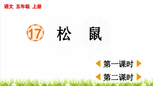 人教版五年级语文上册第五单元第17课《松鼠》上课课件