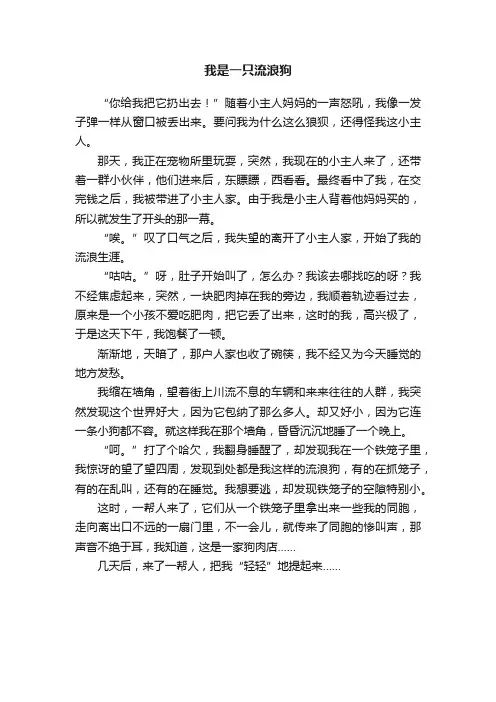我是一只流浪狗