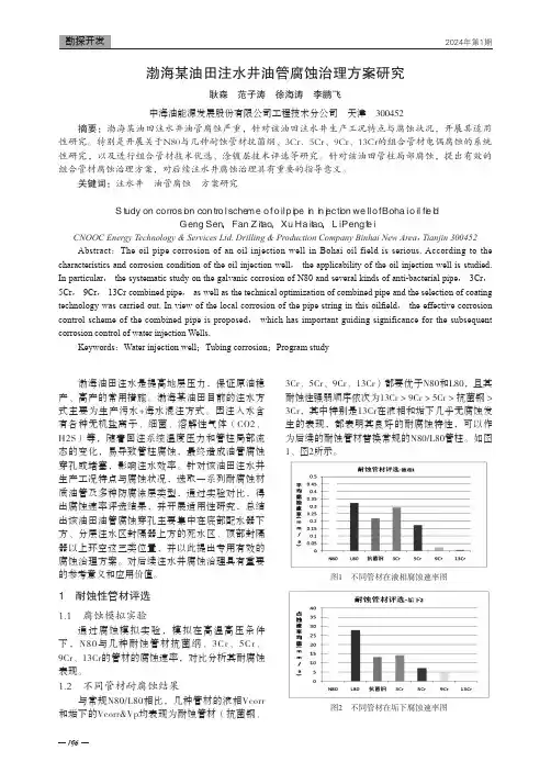 渤海某油田注水井油管腐蚀治理方案研究
