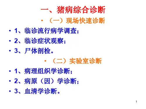 猪病诊断技术ppt课件