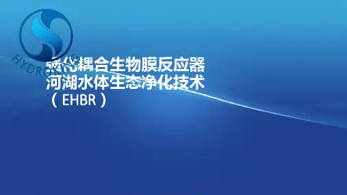 EHBR黑臭水体治理 ppt课件