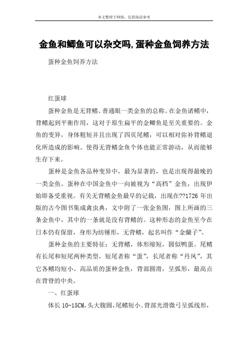 金鱼和鲫鱼可以杂交吗,蛋种金鱼饲养方法