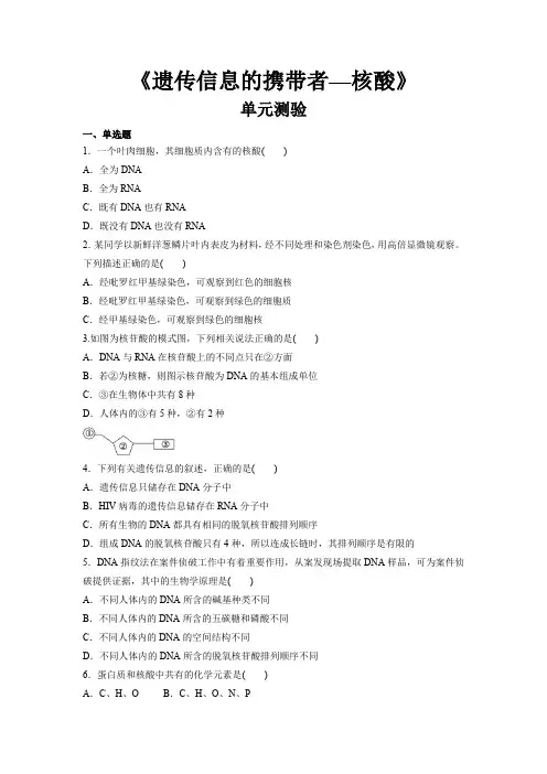 人教版高中生物必修一第二章2.3《遗传信息的携带者—核酸》单元测验(含答案)