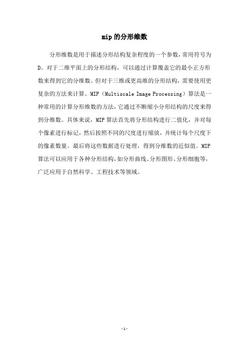 mip的分形维数