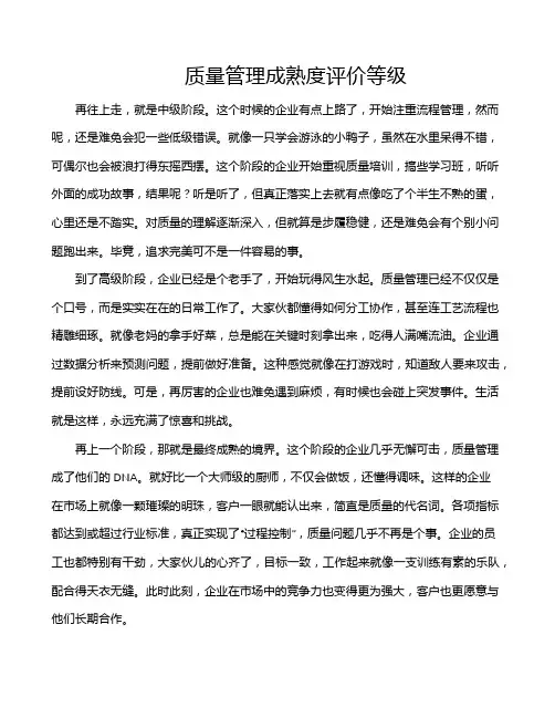 质量管理成熟度评价等级
