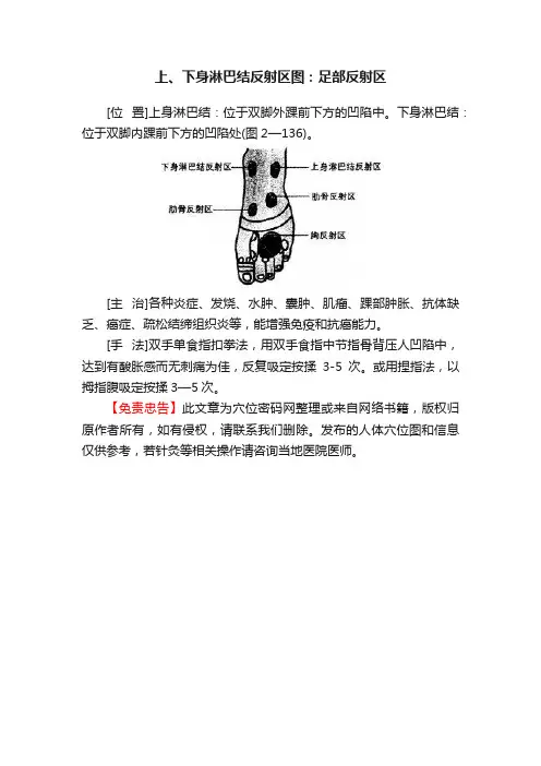 上、下身淋巴结反射区图：足部反射区