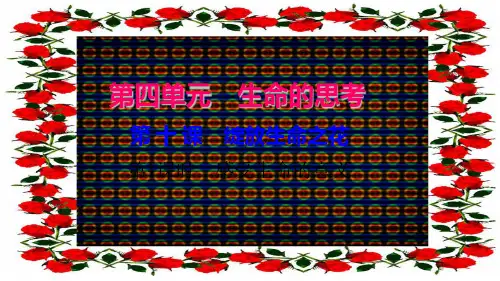 七年级道德与法治 第四单元 生命的思考 第十课 绽放生命之花(第1课时 感受生命的意义)习题 